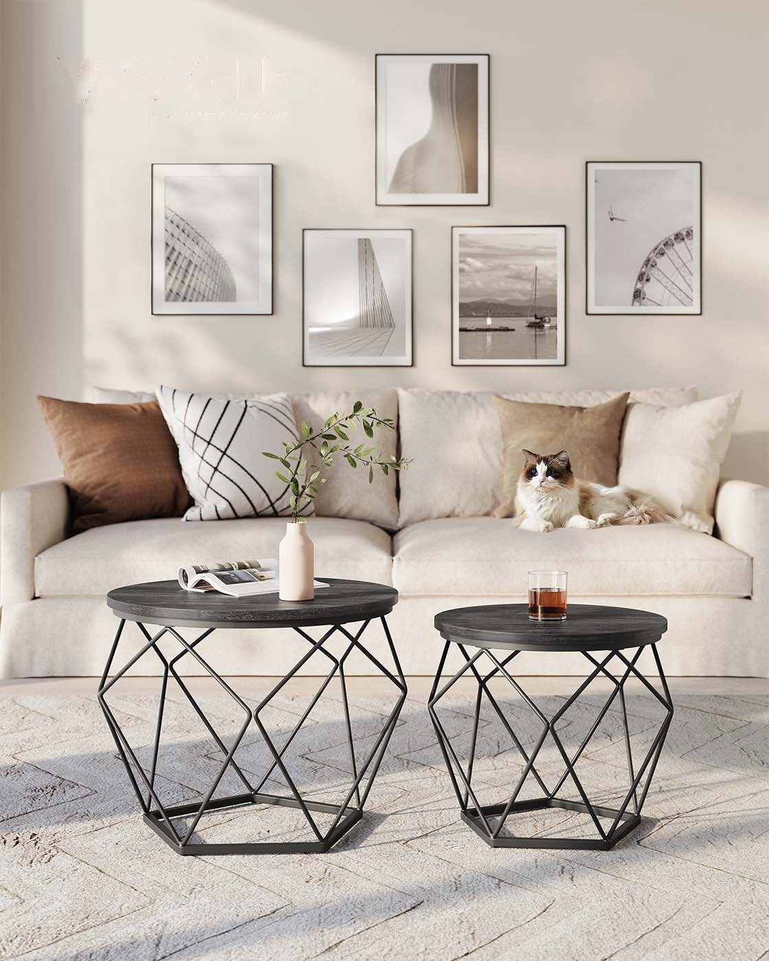 Set Of 2 Small Coffee Table - product photo 11