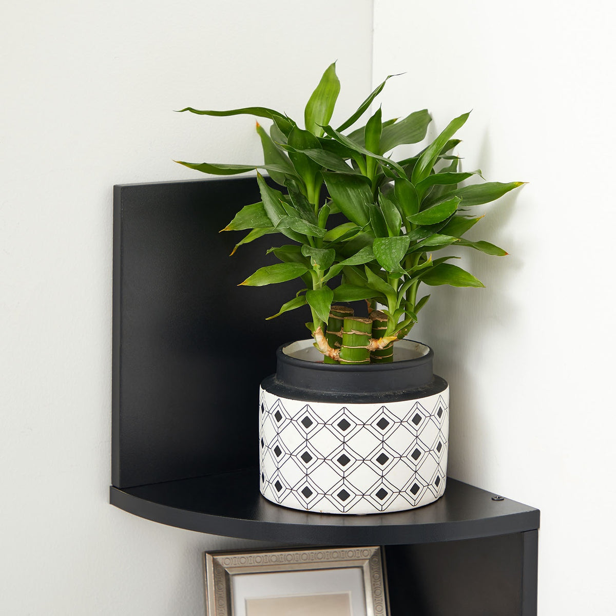5-Tier Floating Wall Shelf - product photo 30